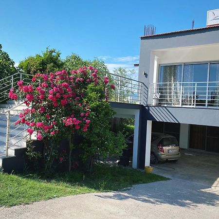 Leli Apartments Ulcinj Exterior photo